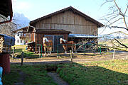 Aschauer Bachbauernhof Galerie